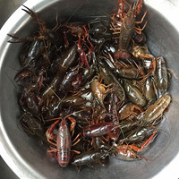 ��С��Ϻ��ζ�� �ó��ǺóԵĲ����� �����Ҳ���Ϸ� �� �� ��