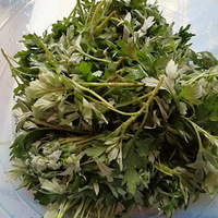 ��һ�������ʰ�Ҷ����