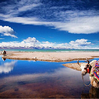 4.25������ȥ����