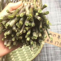 ����������������Ƥʯ���������㽭���������ּ��ַ�[õ��]