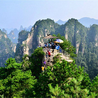 �żҽ�����֮��ҽ�