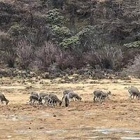 5������һ��ȥ���ذ�