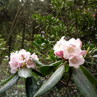 ��.һ��ȥ�����ŵ��ͻ��;�