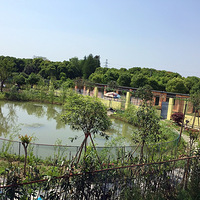 ������԰