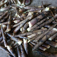 �Ͷ��ھ���Ҫ�Ͷ�