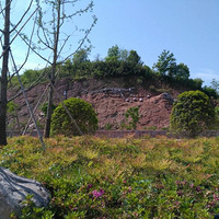 ��̨������