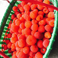 ��ɫ��ˮ���Ǵ�Ұ����