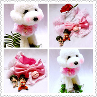 è����˿Χ��