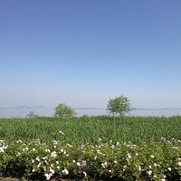 ���³�����