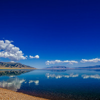 ^�ŷ�����^���½���½�Ѱ��޹�²ݵķҷ��� ���ܴ��ԭ������