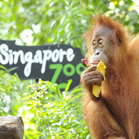 ����Ⱥ��̽�ֵ��������������û���κξܾ������ɣ�