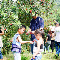 6�´�Ϫ��÷������ժһ����