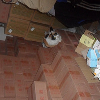 �������Сè����ѽ̹۲죡