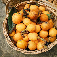 ȫ���Ǳ�������ˮ��������ʳ�����㲻�ò���