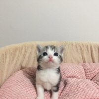 Ҫôèè�ߣ�Ҫô�����������̼Ӱ���˾è�Ҽҳ��ˣ�