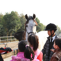 �������տ���