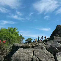 �߼��ƺ��ž�(�������)�����������