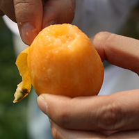 �����ĩ����ȥ����ժ���ˣ���ʳ�ֳ���ʳ