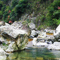 �ٰ��ŵ��ϵ�ӣ�Һ���