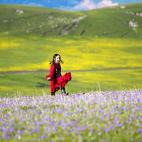 ���½���½������������ɽ������������޹�²ݵĺ���