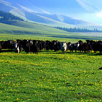 6��17�š��½����硿ԽҰ�Լݣ�����һ��