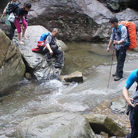 ǧ�׸�ɽ�ϵ�Ұӣ�Һ��ˣ���ĩȥ�ٰ���һ��