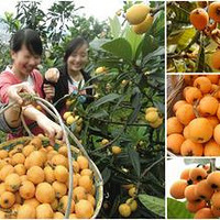 5.21 ���㡼 ���ܹ���׷Ѱʫ��Զ������Լ���ܲ�ժ���˽�