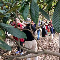 ��ţ��ժ���˻�����뿴ͼ