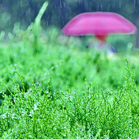 ���У�ʦ��������