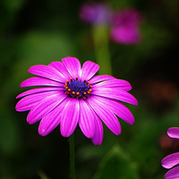 ̫���壬���ۣ�����