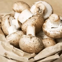 ������ͨ������ʳ����������Ȼ�Ŷ�