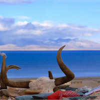 6��1�ź��ݳ���ȥ�����Լ��Σ�����һ����