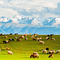 5.28 �����  �½�Լ����