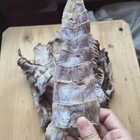 �ԼҴ���Ȼ����Ⱦ�����