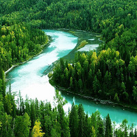 ���Լ���½�����12����ȴ����������λ�ã�����