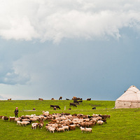 �����  ����ȥ�½����𣬲�����