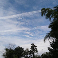 ���캼�ݵ�������ơ�