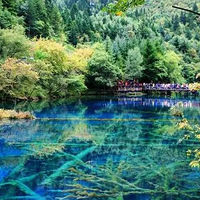 ��ҵ����һ��ҪԼ���������ó��������ʱ�����Ǹо��ź���