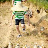 ���Ϻ���ȥ��̬ũ����