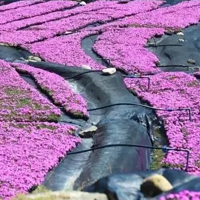 �����������⼸���ط��Ļ����Ѿ�ˢ������Ȧ�����Ͻ���������