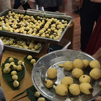 �������˲�ժ