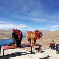 6������һ��ȥ���ΰ�