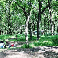 ͩ�޵���λ�����ˣ�Ҫȥ�����ѿ�㱨����