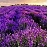 ��Լ�½����磬ȥ������ȥ��������ԭ