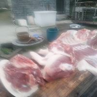 ���������ⶩ����ʼ