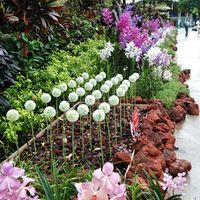 �ڼҴ������ˣ��ͳ������ߡ���������������