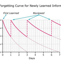 ħ�����ʵ���������