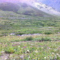 ������ɽ������װͽ����Խ������Ӱ���� ��6��