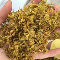 2017����ʯ���ɻ�������