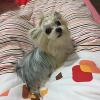 ����Լ����С���������ȣ�